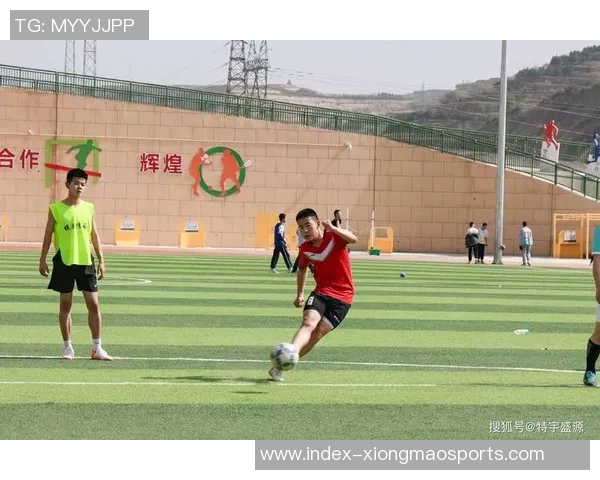 当足球遇上爱情：一场绿茵场上的浪漫追逐与心灵碰撞